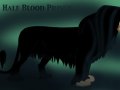 the_half_blood_prince_by_dyb-d4jv0dj.jpg
